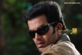 /album/photogallery/latest-malayalam-film-robin-hoog-photo-gallery-jpg/